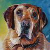 Max, 12" x 12", acrylic on gallery canvas
