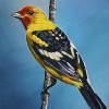 Western Tanager, 9" x 12", acrylic on canvas