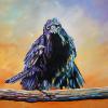 Colourful Corvus Corax (common raven), 20" x 30", acrylic on canvas
