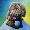 Charlie, 16" x 16", acrylic on gallery canvas