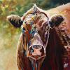 Carlotta the Cow, 24" x 24", acrylic on canvas
