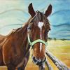 Jed, 12" x 12", acrylic on canvas