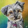 Piper, 16" x 16", acrylic on canvas
