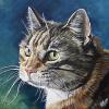 Meow, 12" x 12", acrylic on canvas