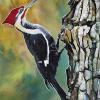 Pileated Woodpecker, 11" x 14", acrylic on canvas