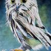 Northern Saw-whet Owl, 12" x 18", acrylic on gallery canvas