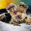 Benny, 16" x 20", acrylic on gallery canvas