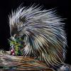 Porcupine on Black, 16" x 16", acrylic on gallery canvas