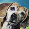 Bailey, 12" x 12", acrylic on gallery canvas