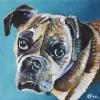 Shelby, 12" x 12", acrylic on gallery canvas