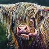 Highland Cow No. 2, 16" x 20", acrylic on canvas