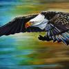 Beautiful Flight | Bald Eagle, 18" x 36", acrylic on canvas