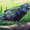 Fred the Forest Raven, 16" x 24", acrylic on canvas