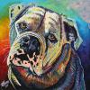 Bulldog, 16" x 16", acrylic on canvas