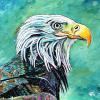 Stephen's Bald Eagle, 20" x 20", acrylic on canvas