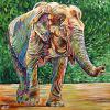 Elephant Walking, 30" x 30", acrylic on canvas