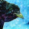 Best Western Raven, 16" x 20", acrylic on canvas