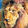 Calgary Zoo Lion, 20" x 30", acrylic on canvas