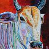 Khmer Cow, 12" x 16", acrylic on canvas