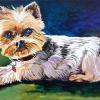 Dog Portrait, 12” x 18”, acrylic on canvas