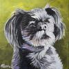 IAAD Dog 1, 12" x 12", acrylic on canvas