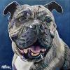 Jacob, 12" x 12", acrylic on gallery canvas
