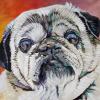 Lenni, 20" x 20", acrylic on gallery canvas