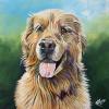 Hank, 20" x 20", acrylic on gallery canvas
