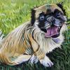 Pupster, 14" x 18", acrylic on gallery canvas