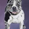 Echo, 11" x 14", acrylic on gallery canvas