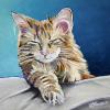 Jax, 12" x 12", acrylic on canvas