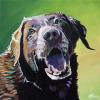 Roxy, 20" x 20", acrylic on gallery canvas