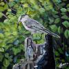 Canada Jay, 12" x 12", acrylic on canvas