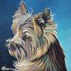 Maisie, 12" x 12", acrylic on gallery canvas