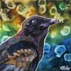 Crow of many colours, 12" x 12", acrylic on canvas