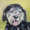 Arlo, 20" x 20", acrylic on gallery canvas