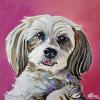 Bella, 12" x 12", acrylic on gallery canvas