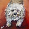 Missy, 20" x 20", acrylic on gallery canvas