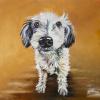Bruno, 20" x 20", acrylic on gallery canvas