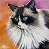Skeeter, 12" x 12", acrylic on gallery canvas